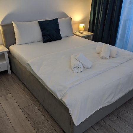 Alina'S Deluxe Apartment And Free Private Parking Dumbravita  Dış mekan fotoğraf