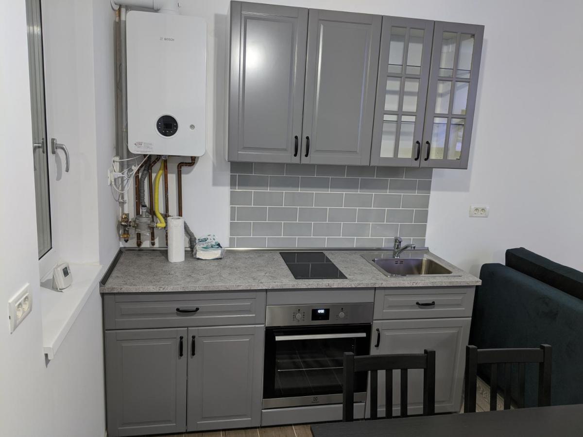 Alina'S Deluxe Apartment And Free Private Parking Dumbravita  Dış mekan fotoğraf