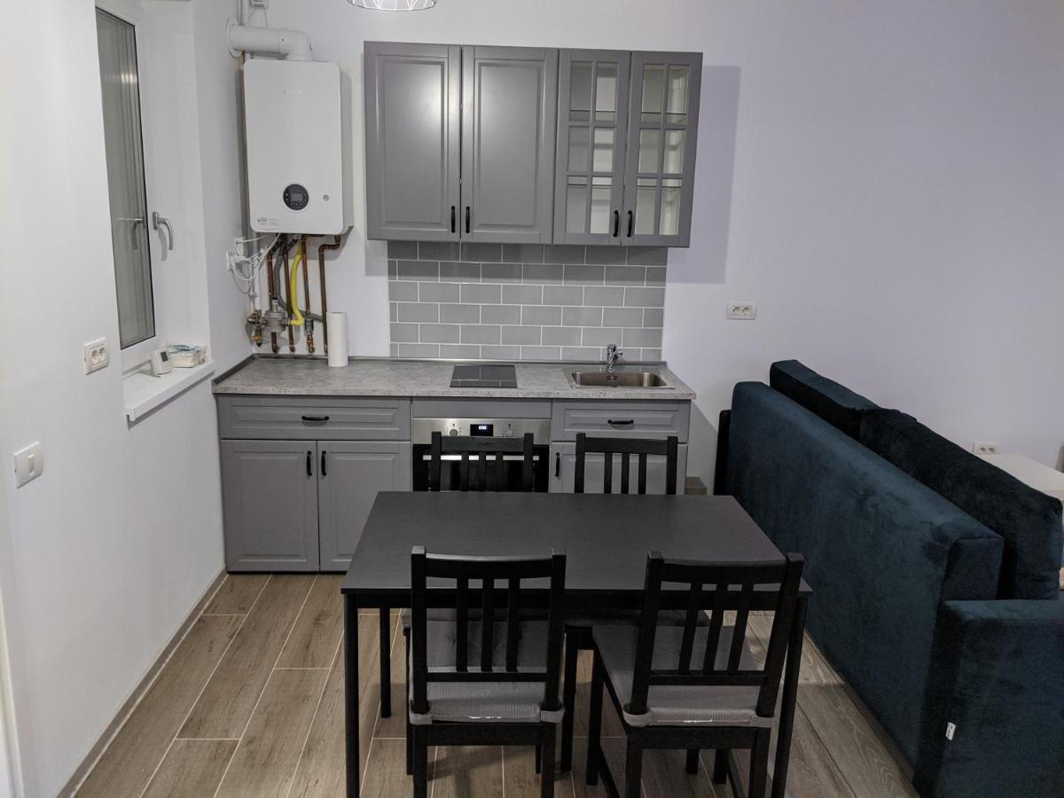 Alina'S Deluxe Apartment And Free Private Parking Dumbravita  Dış mekan fotoğraf