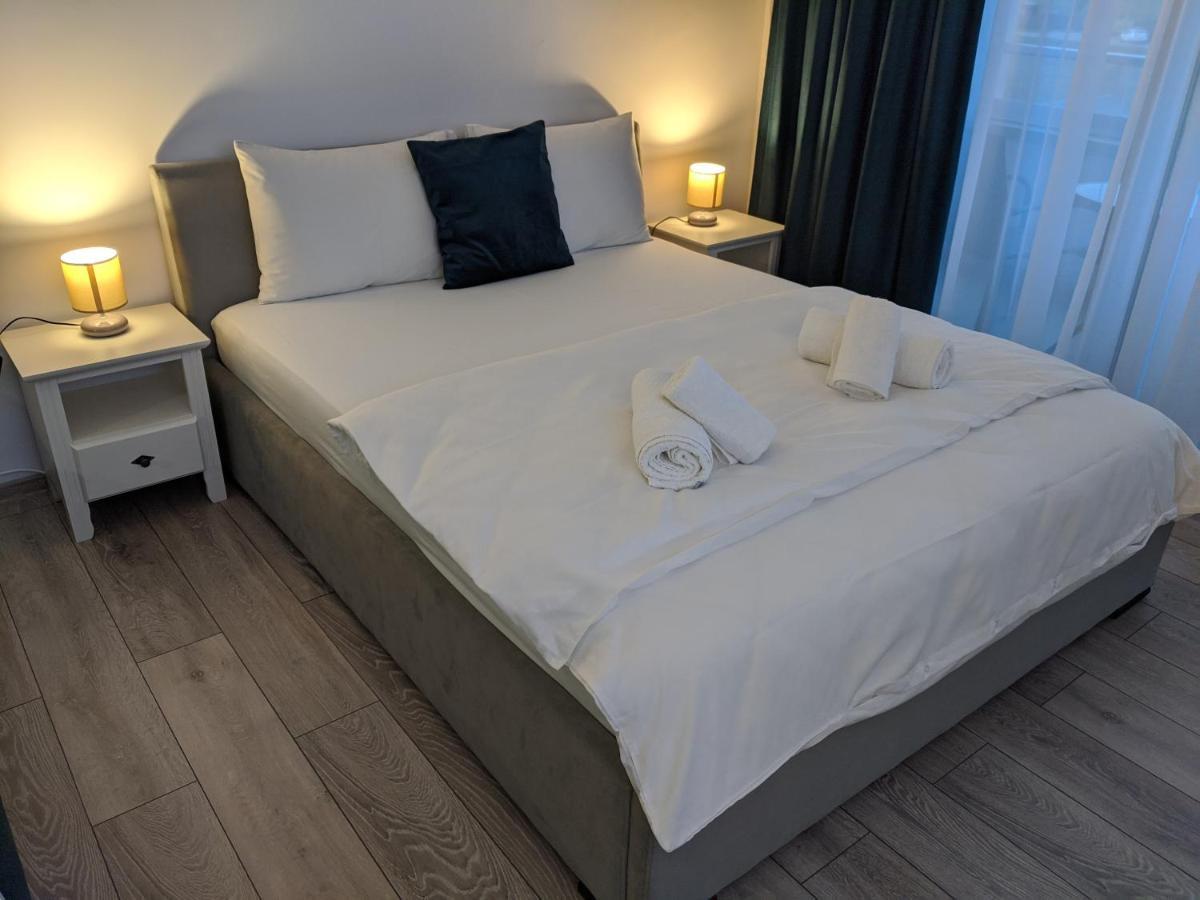 Alina'S Deluxe Apartment And Free Private Parking Dumbravita  Dış mekan fotoğraf